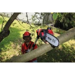 Einhell Akku-Hochentaster GE-LC 18Li T Kit, 18Volt -Gardena Verkaufe Einhell Akku Hochentaster GE LC 18Li T Kit 18Volt@@9whhee04 10