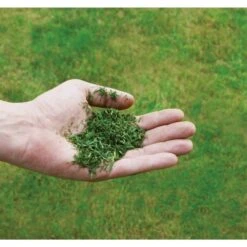 Einhell Benzin-Rasenmäher GC-PM 51/3 S HW-E 21 Einhell Benzin-Rasenmäher GC-PM 51/3 S HW-E -Gardena Verkaufe Einhell Benzin Rasenm her GC PM 51 3 S HW E@@1716354 4